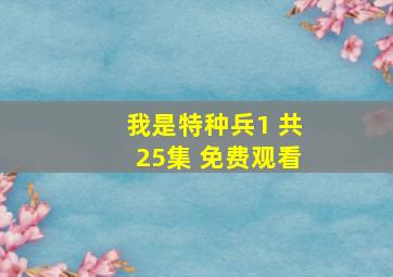 我是特种兵1 共25集 免费观看